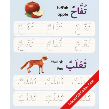 Let's Write Arabic Words Board Book with Marker