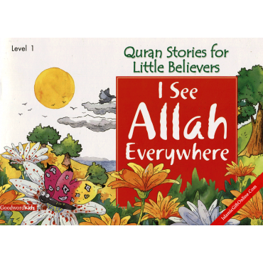 I See Allah Everywhere (Quran Stories for Little Believers)