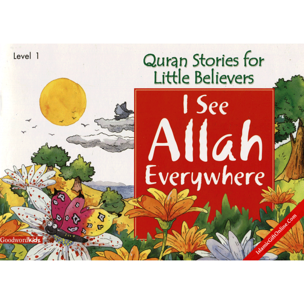 I See Allah Everywhere (Quran Stories for Little Believers)