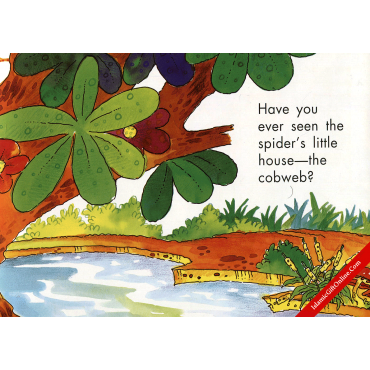 The Spider's House (Quran Stories for Little Believers)