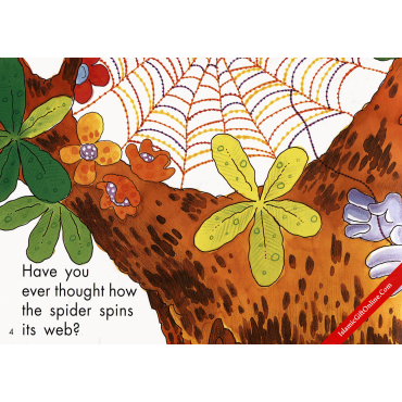 The Spider's House (Quran Stories for Little Believers)