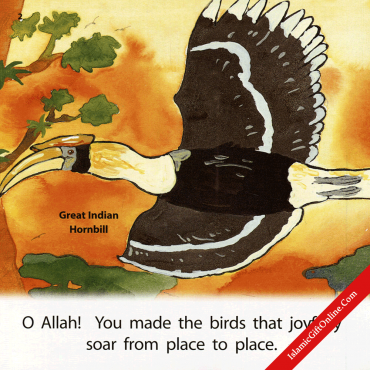 Allah Made Them All: Birds