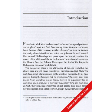 Illuminating the Darkness (Blacks and North Africans in Islam)