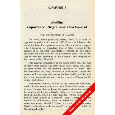 The Hadith for Beginners