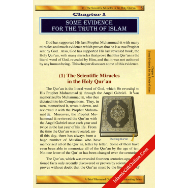 Brief Illustrated Guide to Understanding Islam
