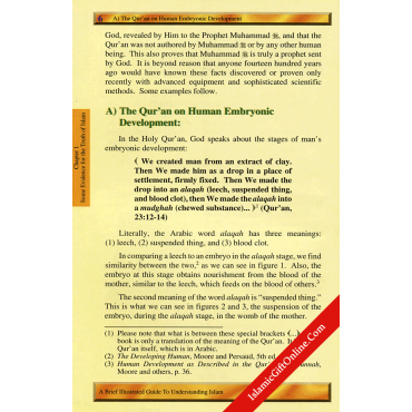 Brief Illustrated Guide to Understanding Islam