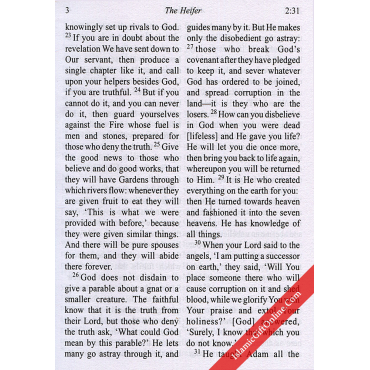 The Quran English (Maulana Wahiduddin Khan) - Pocket Size