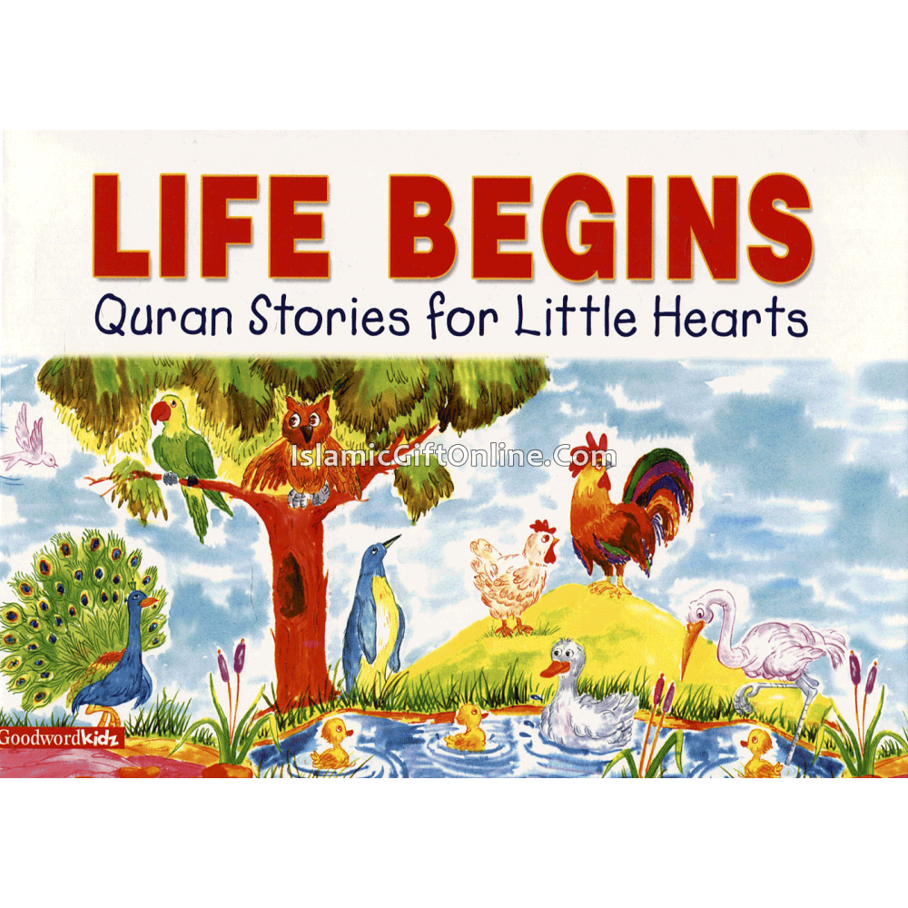 Life Begins (Quran Stories for Little Hearts)