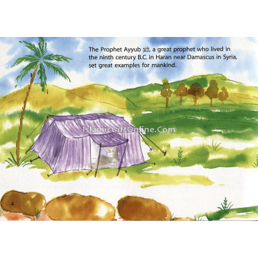 The Most Patient Man (Quran Stories for Little Hearts)