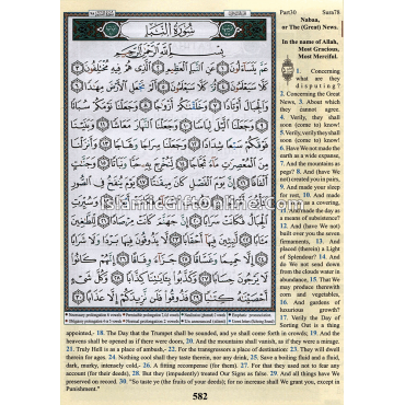 Juz' Amma in Arabic & English with Roman Transliteration & Tajweed Rules