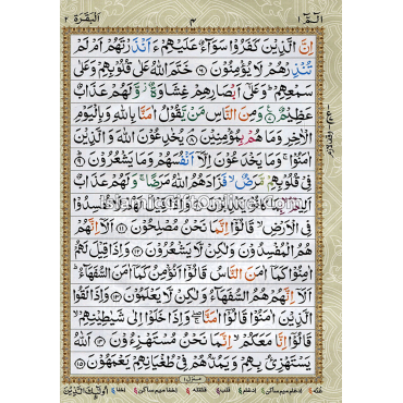 Holy Quran Color Coded with Tajweed Rules - Large Size (15 Lines) - Ref. 126