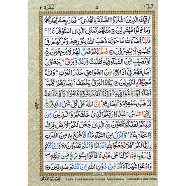 Holy Quran Color Coded with Tajweed Rules - Large Size (15 Lines) - Ref. 126