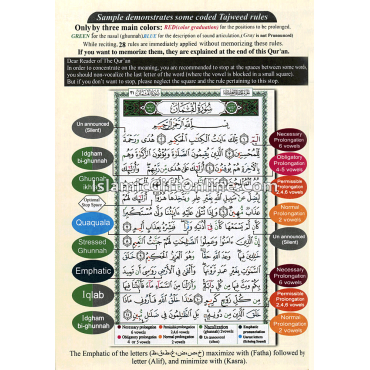 Tajweed Quran With English Translation & Transliteration