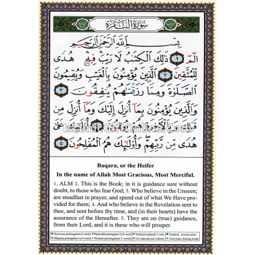 Tajweed Quran With English Translation & Transliteration