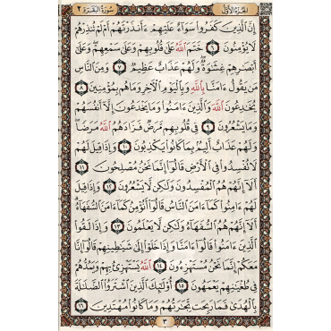 Holy Quran Medium Size (7.9" x 5.6") - Usmani Script