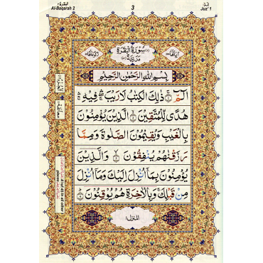 The Holy Qur'an Color Coded with Tajweed Rules Large Size (13 Lines) - Ref. 803