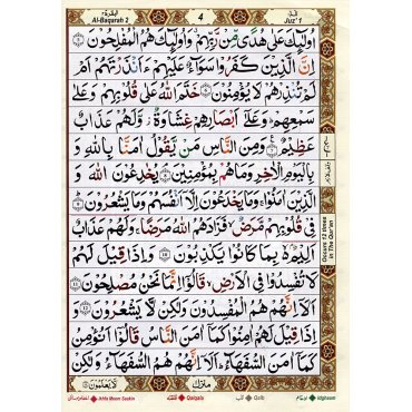 The Holy Qur'an Color Coded with Tajweed Rules Large Size (13 Lines) - Ref. 803