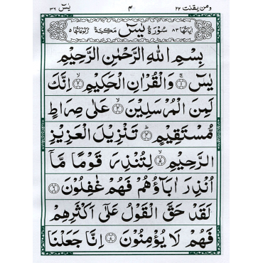 Panj Surah (Yaseen, Rehman, Waqia, Malik, Muzammil, Fateh, Quranic Duas) - Arabic Ref. 303