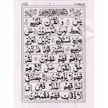 Surah Yaseen (9 Lines) - Ref. SY21