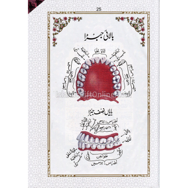 Holy Quran Color Coded with Tajweed Rules - Large Size (16 Lines) - Ref. 46